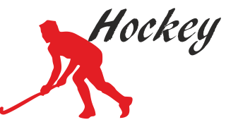 bespoke hockey